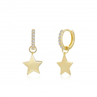 Zircons star hoops